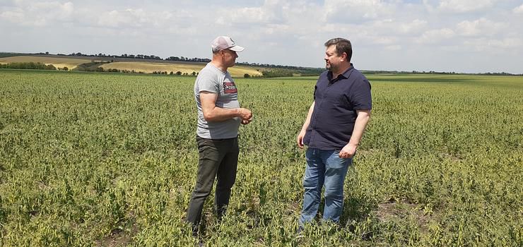 Миколаївщина: І в коморі має, і про землю дбає