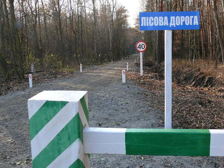 Прокладають дороги серед дерев