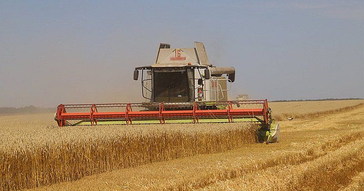 Хлібороби Вінниччини зібрали перший мільйон тонн хліба