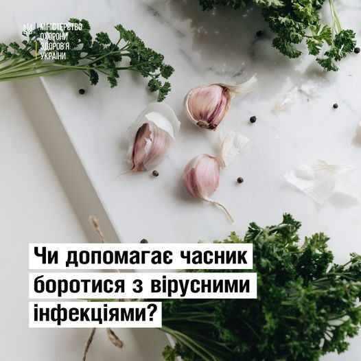 Часник: за і проти