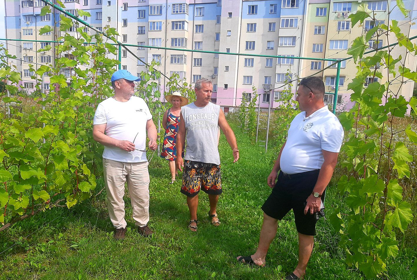Олешки не відпускають