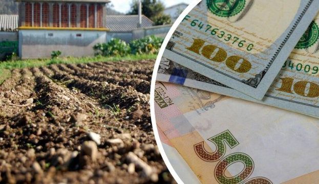 Купувати землю можуть вітчизняні компанії