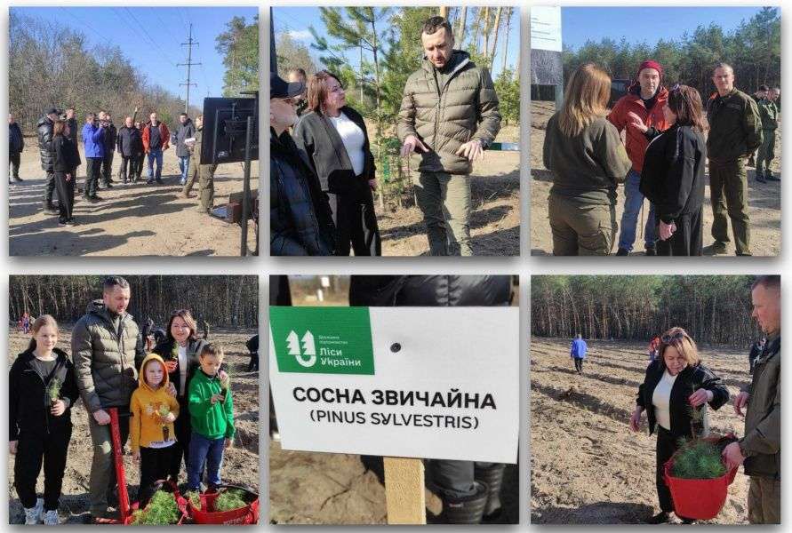 Відновлення українських лісів – спільний пріоритет держави, громад і фахової спільноти