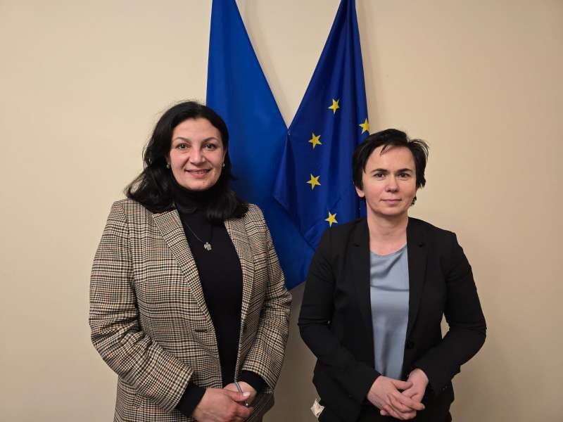 Іванна Климпуш-Цинцадзе обговорила євроінтеграцію з послом Литви в Україні Інгою Станітє-Толочкєнє