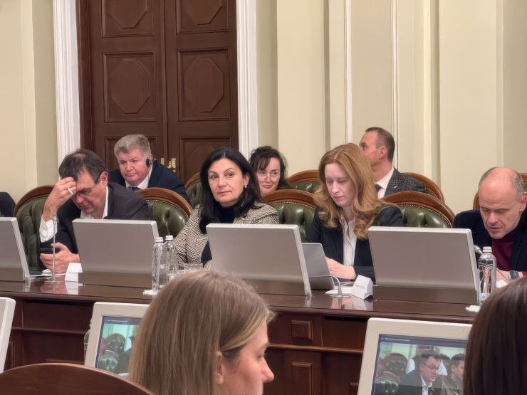 Іванна Климпуш-Цинцадзе та Вадим Галайчук узяли участь у міжкомітетському засіданні з Європарламентом