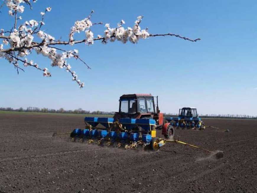 Аграрії засіяли вже 3,2 мільйона гектарів  ярих зернових та зернобобових культур