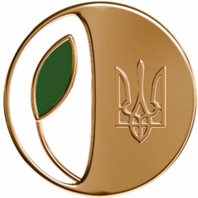 Президент України започаткував нову відзнаку «Майбутнє України» для вшанування молодих героїв