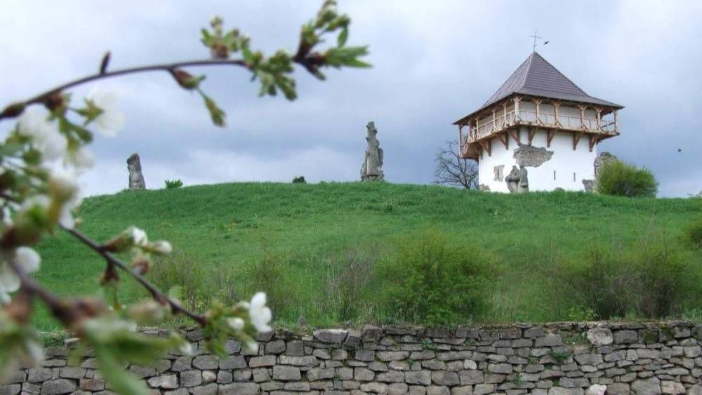 Ландшафтний заказник місцевого значення «Гора Лисківка» стане популярним туристичним напрямком (ВІДЕО)