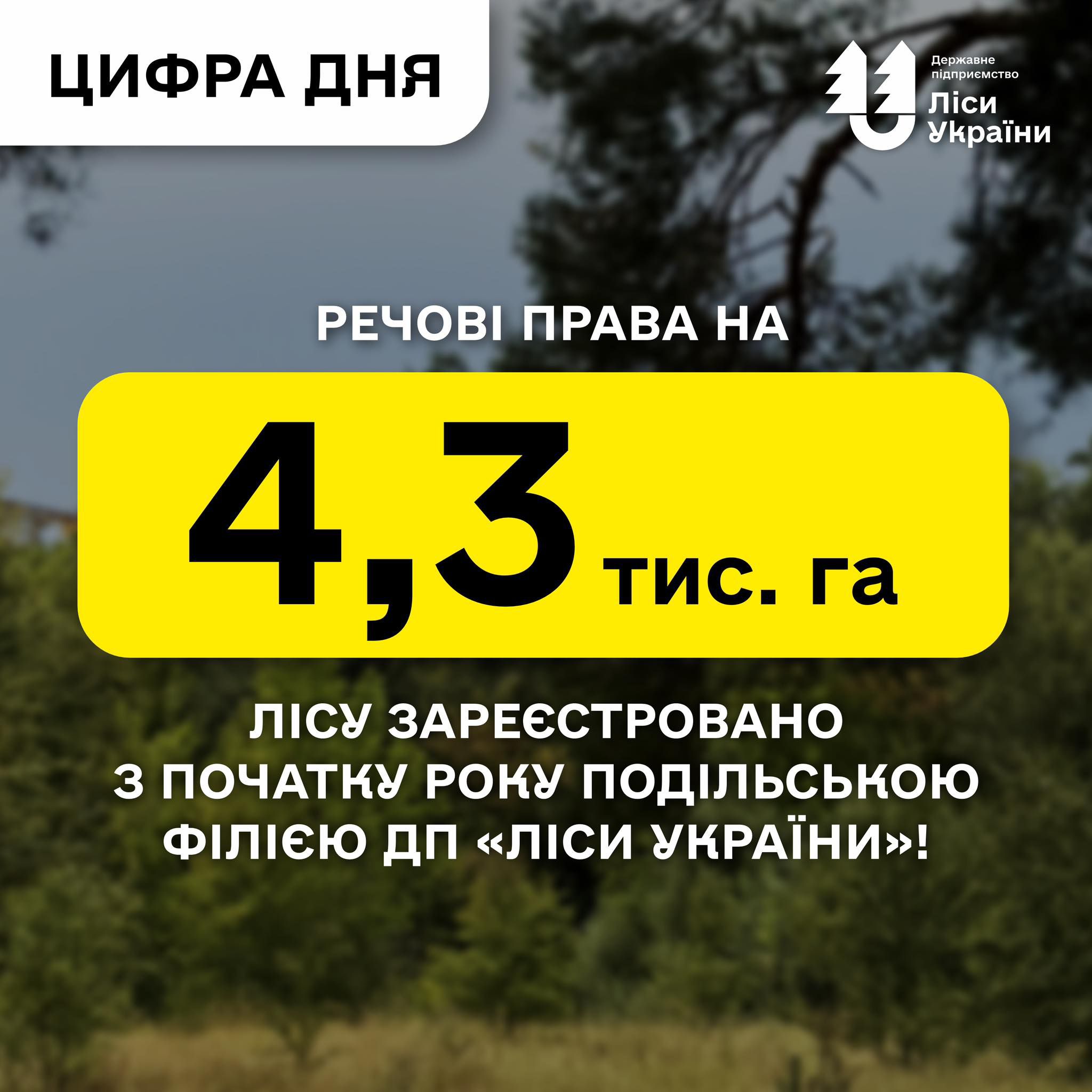 Речові права на 4,3 тис. га лісу зареєстровано з початку року Подільською філієюДП «Ліси України»