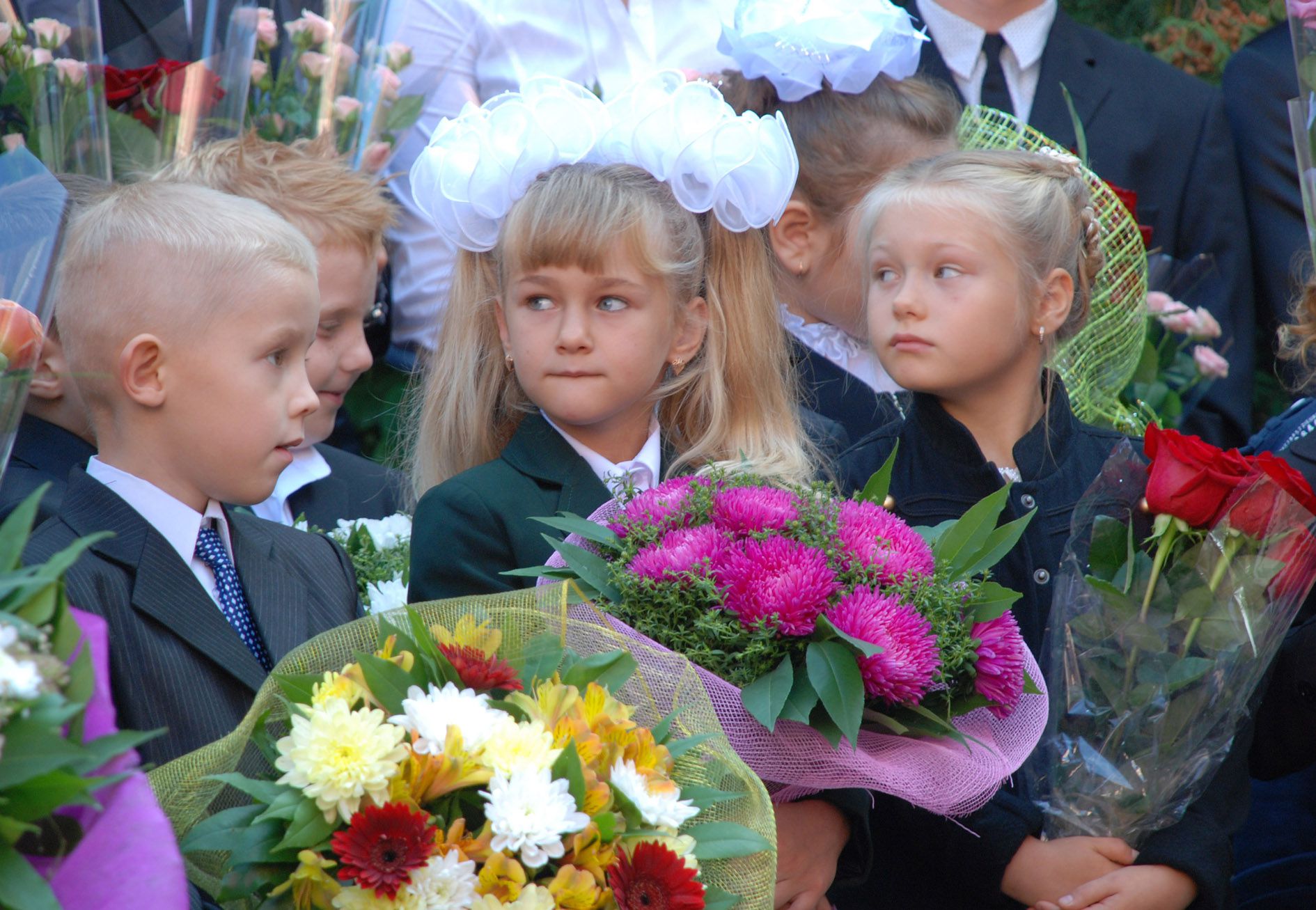 День знань