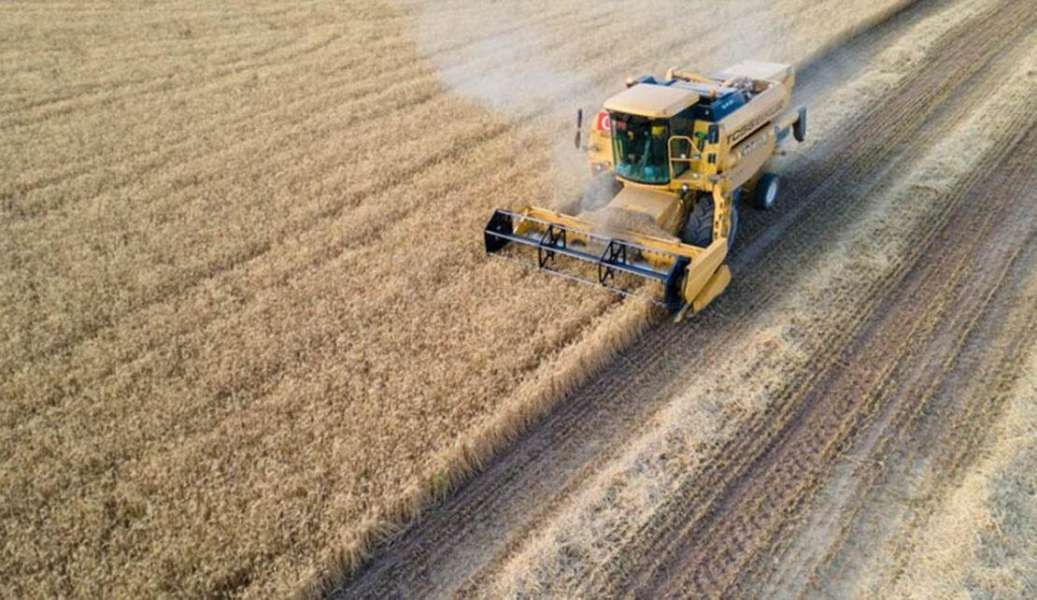 Українські аграрії зібрали понад 31,5 мільйона тонн зернових і зернобобових 