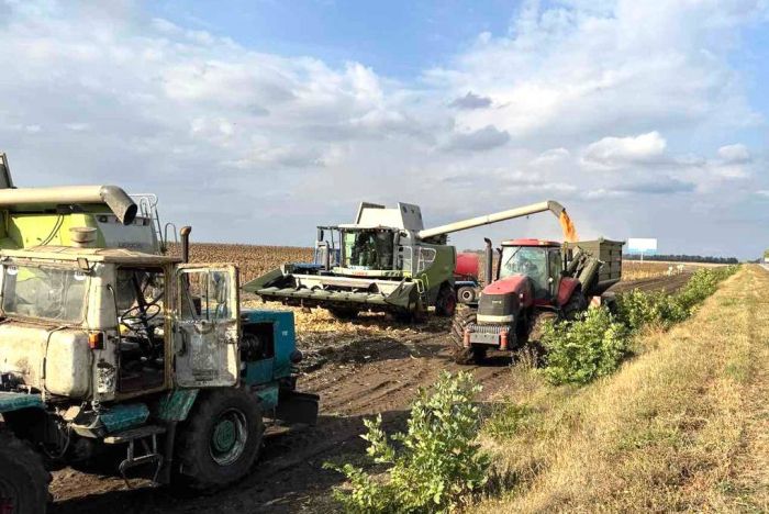На Кіровоградщині тривають осінньо-польові роботи
