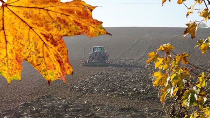 Посівна-2025: засіяно майже п’ять мільйонів гектарів озимих культур