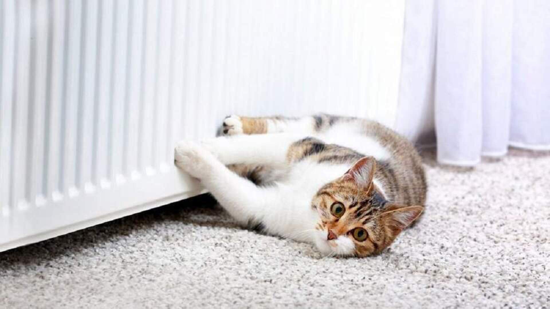 На Львівщині стартував опалювальний сезон для населення