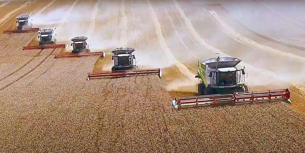 Жнива 2025: аграрії України вже намолотили 40 мільйонів тонн зернових