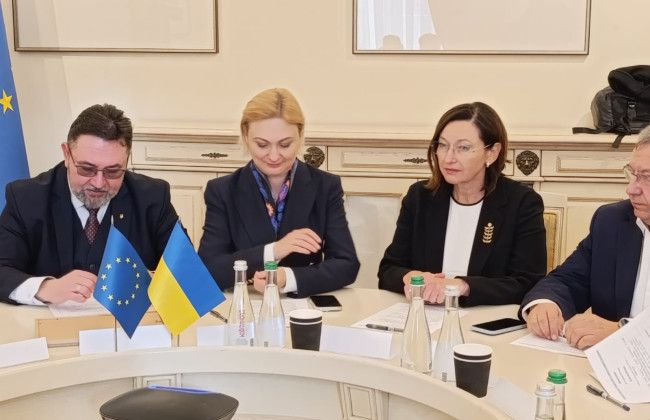 Комітет переглянув висновок щодо змін до законів через оновлення перекладу Європейської хартії регіональних мов