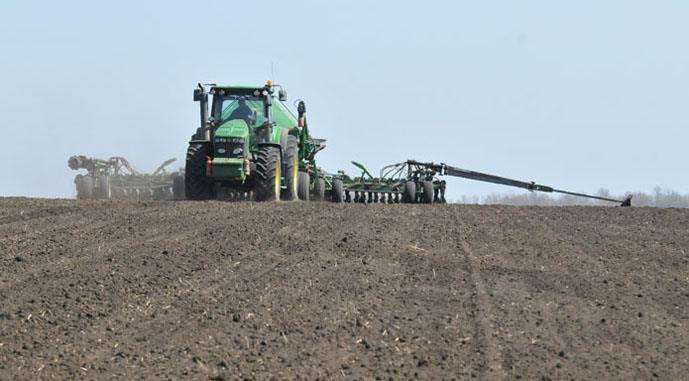 Сівба озимих зернових фінішувала в шести областях України