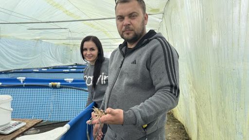 Креветкова ферма ветерана – успіх програми «єРобота» на Закарпатті