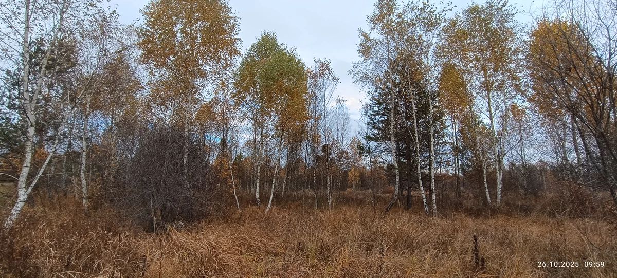 На Львівщині пропонують створити ботанічний заказник місцевого значення «Кави»