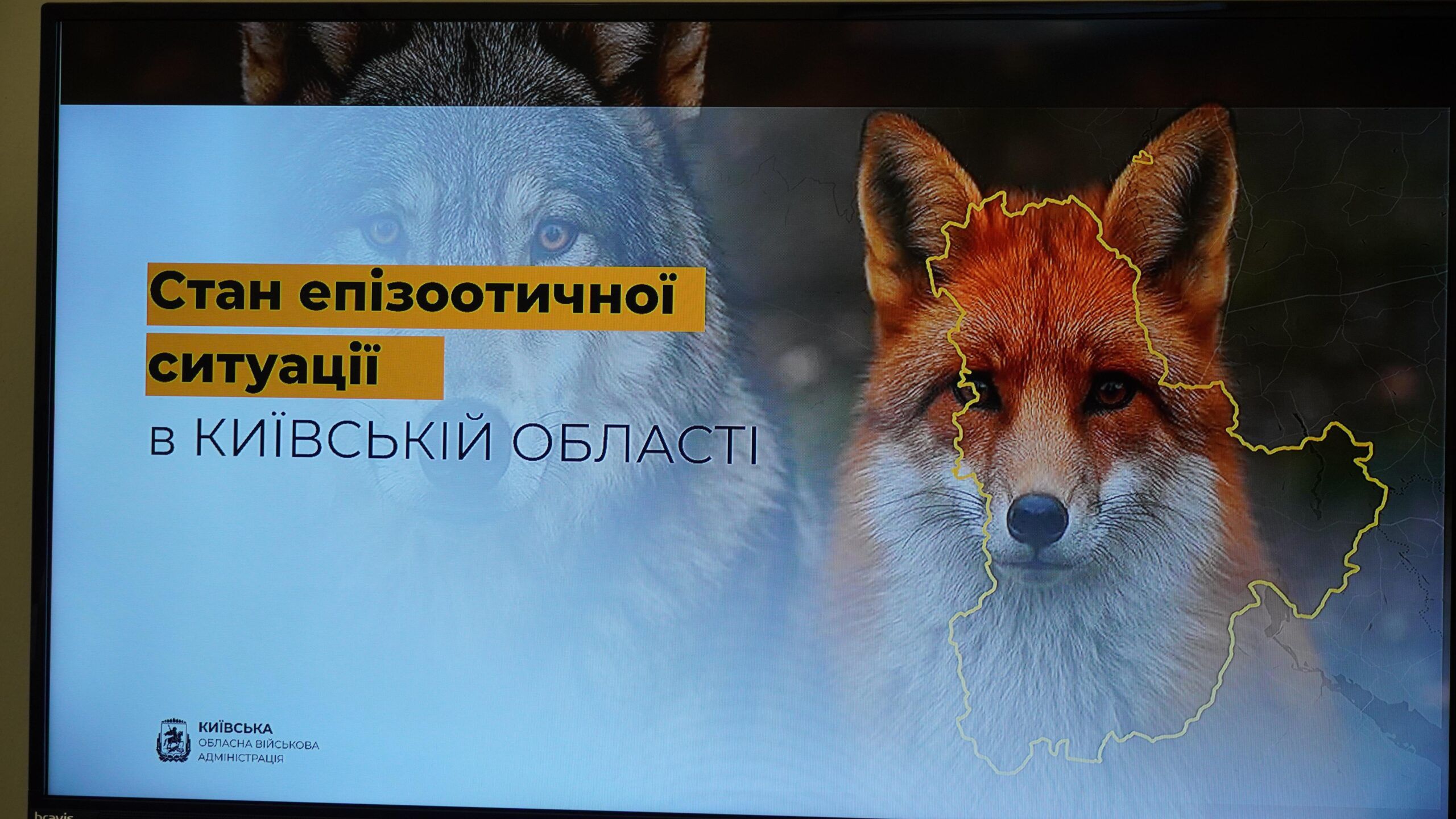 Київщина посилює заходи з протидії небезпечним хворобам тварин