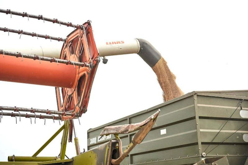 Черкаські аграрії майже завершили збір урожаю 2025 року