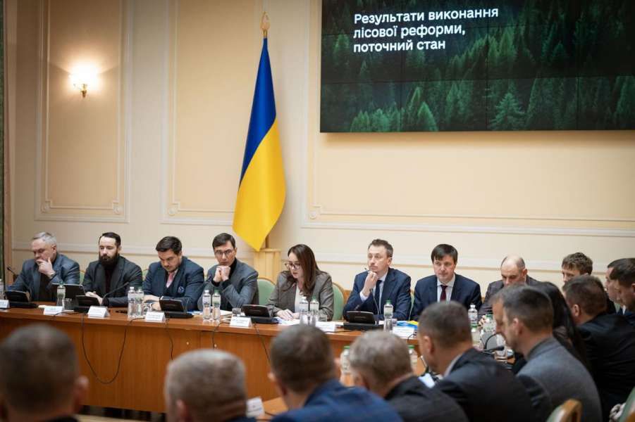 Члени Комітету з питань економічного розвитку взяли участь у координаційній зустрічі з представниками лісової, деревообробної та меблевої галузей