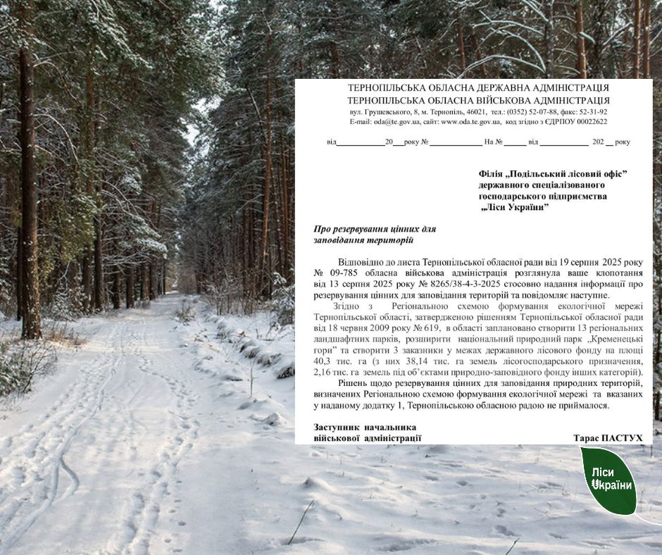 Через ОВД заготівля деревини на Тернопільщині може впасти на 30%