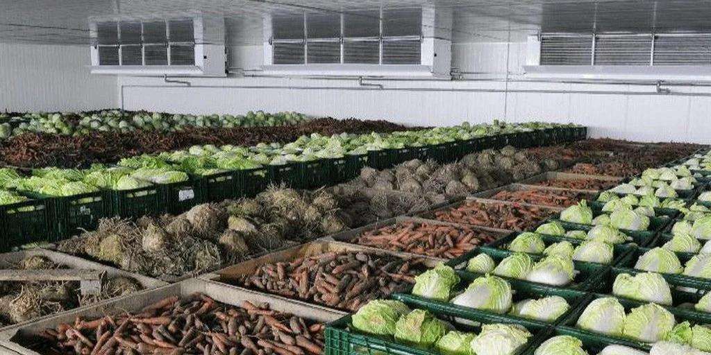 Будівництво нових овочесховищ і фруктосховищ: у Комітеті з питань аграрної та земельної політики вітають запровадження нового напряму державної підтримки аграрних виробників