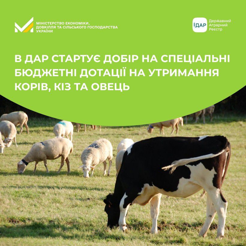 У Державному аграрному реєстрі стартував добір на отримання бюджетних дотацій