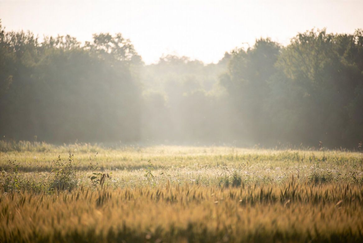 День довкілля. Відповідальність за природу — відповідальність за майбутнє України