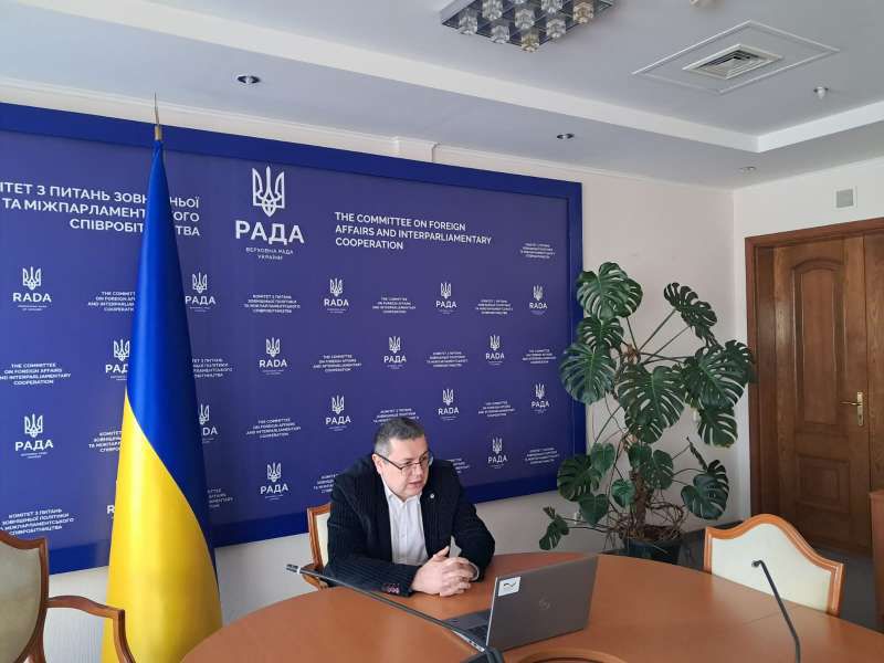 Комітети у закордонних справах парламентів України та Сербії обговорили перспективи вступу країн до ЄС та підтримку партнерів