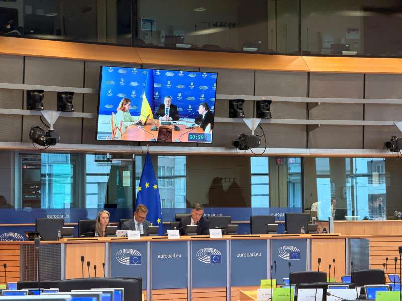 Відбувся обмін думками між членами профільних комітетів у закордонних справах Верховної Ради України та Європейського Парламенту щодо ситуації в Україні та прогресу держави на шляху до ЄС