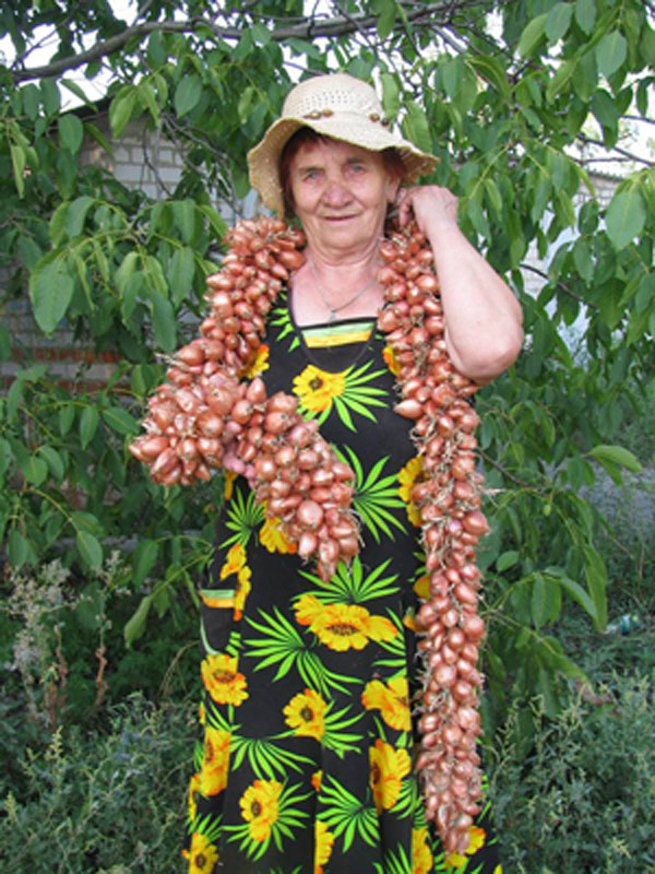 https://www.golos.com.ua/images_upload/2014/08/150814/salot.jpg