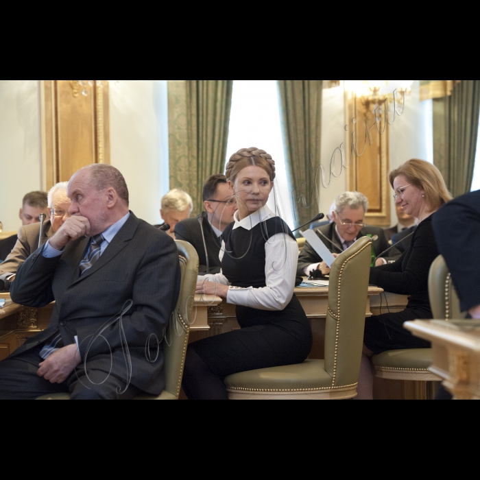 Голова ВР України Володимир Гройсман, Президент України Петро Порошенко, Прем’єр-міністр України Арсеній Яценюк взяли участь у першому засіданні Конституційної комісії. У засіданні також брали участь народні депутати України, представники Кабінету міністрів, президенти України попередніх років  (Леонід Кучма та Леонід Кравчук).
Юлія Тимошенко.