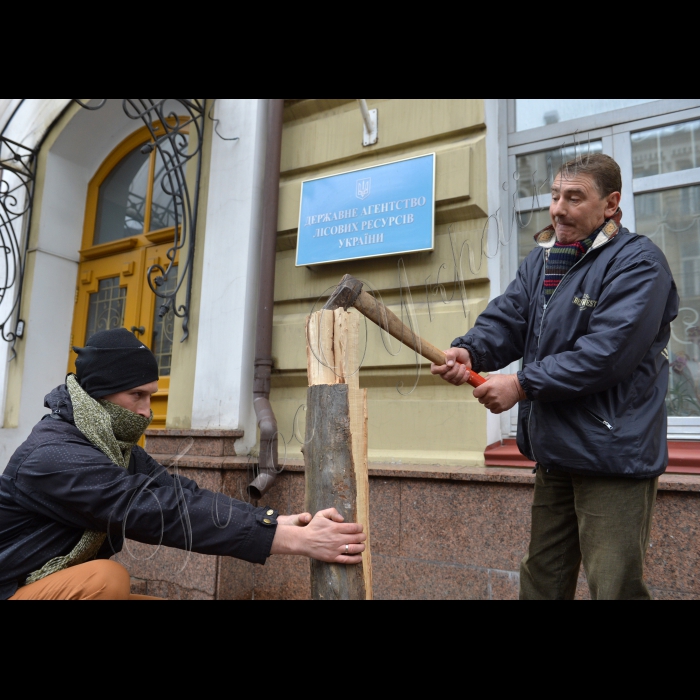 Біля Державного агентства лісових ресурсів України пройшов сатиричний екологічний пікет «Нарубаємо лісникам дров!». Учасники акції принесли до входу в Держлісагентство колоди і нарубали з них дрова для лісників. Також встановили 10 хрестів з убитих в заповідниках дерев. Мета пікету – домогтися від керівництва Держлісагентства припинення рубок лісу в заповідниках і заповідних зонах, як це вже зробило Мінприроди України. Організатори акції – ГО «Київський еколого-культурний центр», громадянська кампанія «Форум порятунку Києва», Дружина охорони природи «Зубр».