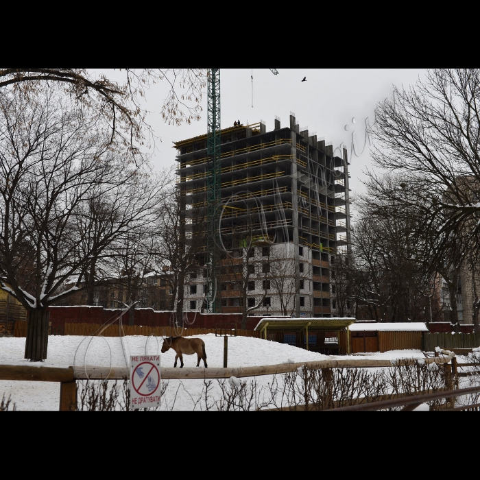 13 лютого 2015
В адміністративному корпусі Київського зоопарку відбулось засідання громадської ради Київського зоопарку. На ньому було розглянуто питання: про незаконне будівництво комерційної висотки біля Київського зоопарку (вул. Шулявська, 32); про корупцію в Службі замовника з будівництва Київського зоопарку; про незаконні ларьки (МАФи) навколо території Київського зоопарку.
Будівництво комерційної висотки біля Київського зоопарку (вул. Шулявська, 32)