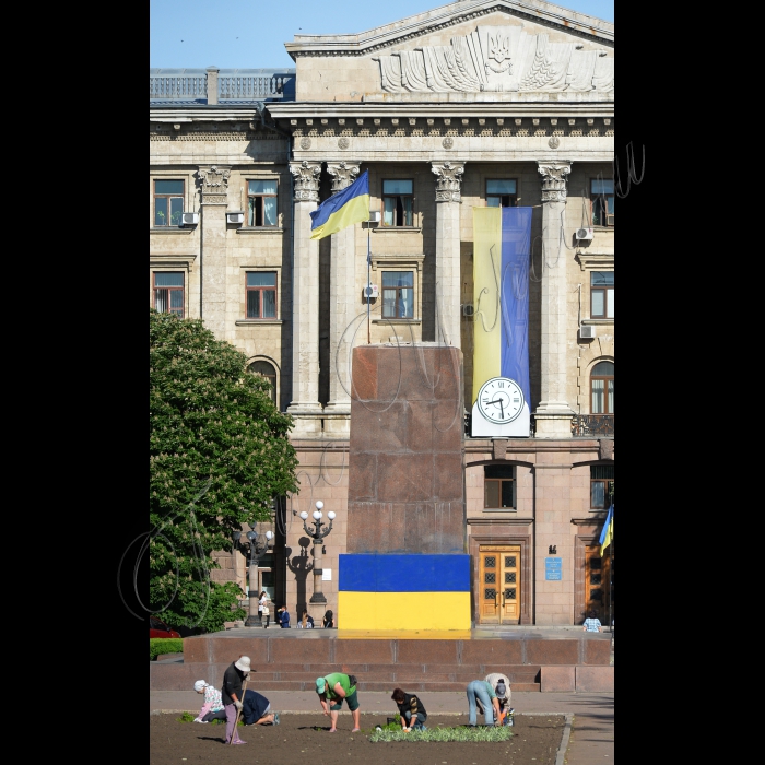 21 травня 2015
Місто Миколаїв.
Жанровi фото.