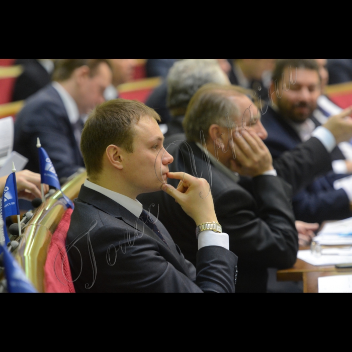 11 грудня 2014. Пленарне засідання ВР. Олександр Долженков, Сергій Матвієнков 