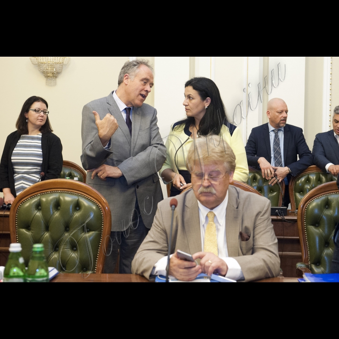 23 липня 2015. Зустріч Голови ВР України Володимира Гройсмана з делегацією депутатів Європейського Парламенту на чолі з Головою Комітету у закордонних справах Ельмаром Броком.
Іванна Климпуш-Цинцадзе спілкується з членом групи Прогресивний альянс соціалістів і демократів у Європарламенті від Великої Британії Річардом Ховвітом; на передньому плані – Ельмар Брок;