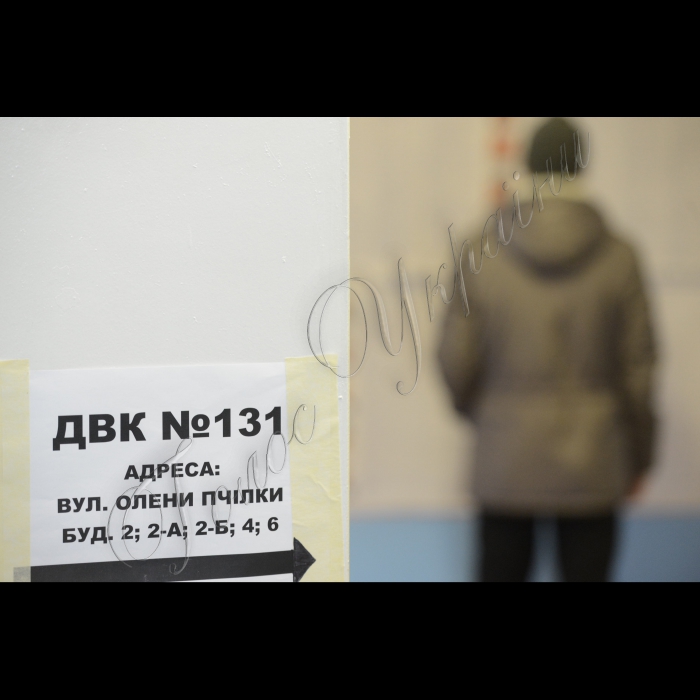 26 жовтня 2014. Голосування і підрахунок голосів на позачергових виборах до Верховної Ради України. На ДВК №131, м. Київ (Дарницький район)