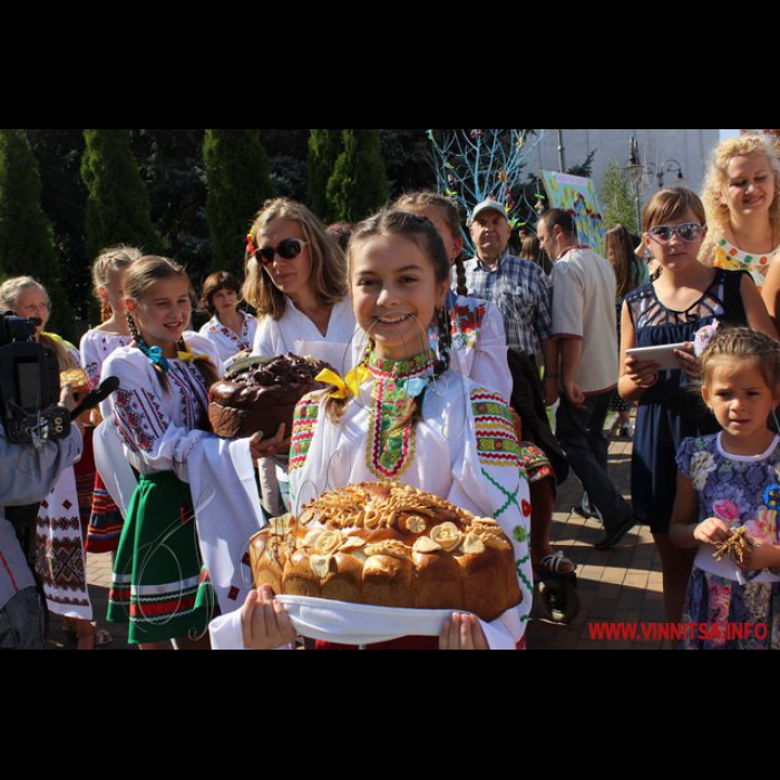 Заходи з нагоди 24-ї  річниці Незалежності держави розпочалися у Вінниці з вручення прапора міста, який доставили із зони бойових дій. З рук волонтерів його отримав  в.о. міського голови Сергій Моргунов.
Також було влаштовано унікальну виставку короваїв. Понад п’ятдесят запашних хлібів рідкісної роботи представили майстри-хлібопекарі з усіх районів області. Не можна було стримати захоплення біля випечених виробів Марії Тітовської з Бершадського району, Наталії Мельник – з Тростянецького, Галини Сідак – з Теплицького, Марії Яворської з Чечельницького районів. 
