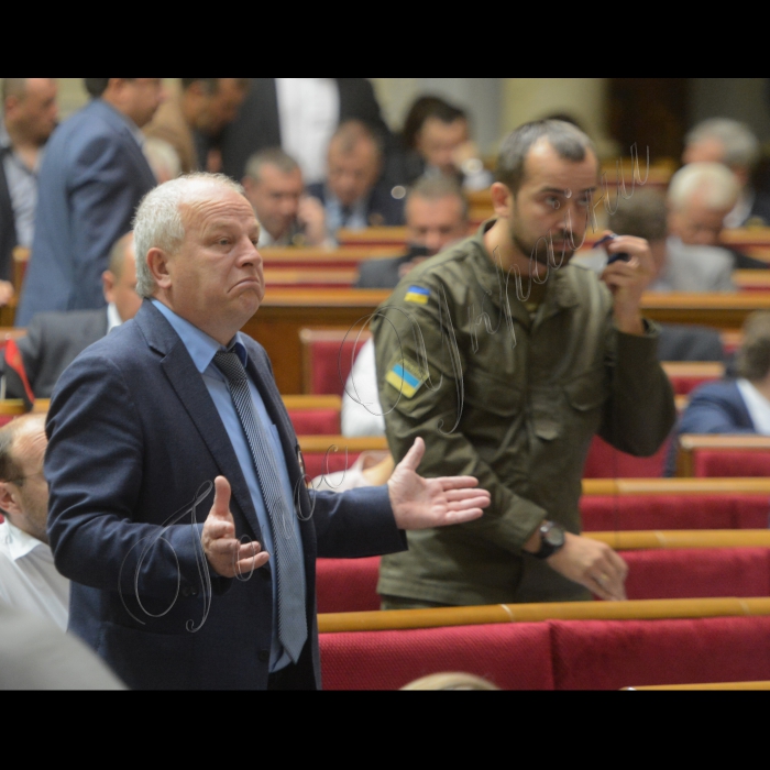 Пленарне засідання Верховної Ради України. Степан Кубів БП Павло Кишкарь позафр.