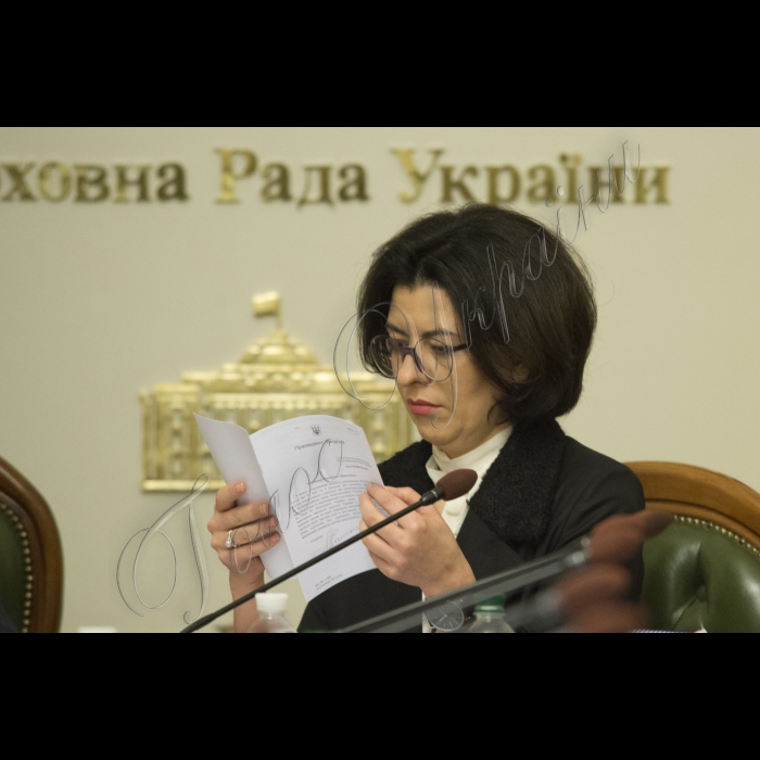 Засідання Конституційної Комісії під головуванням Голови ВР України Володимира Гройсмана.
Заступник Голови ВР України Оксана Сироїд.