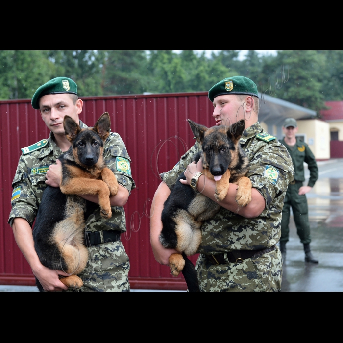 Київ. На базі Окремої комендатури охорони і забезпечення Державної прикордонної служби України відбулась передача службових собак від громадської організації Кінологічна спілка України