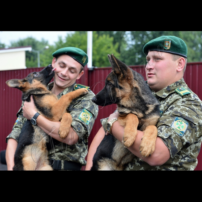 Київ. На базі Окремої комендатури охорони і забезпечення Державної прикордонної служби України відбулась передача службових собак від громадської організації Кінологічна спілка України