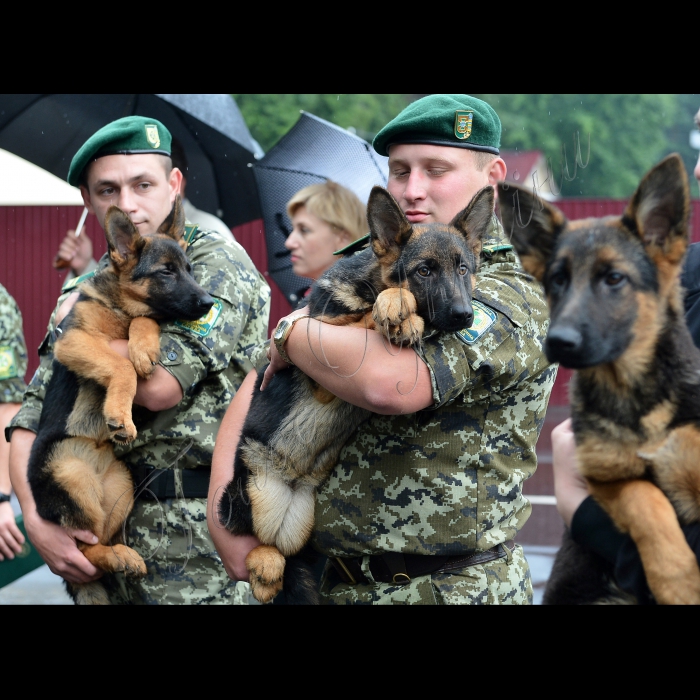 Київ. На базі Окремої комендатури охорони і забезпечення Державної прикордонної служби України відбулась передача службових собак від громадської організації Кінологічна спілка України