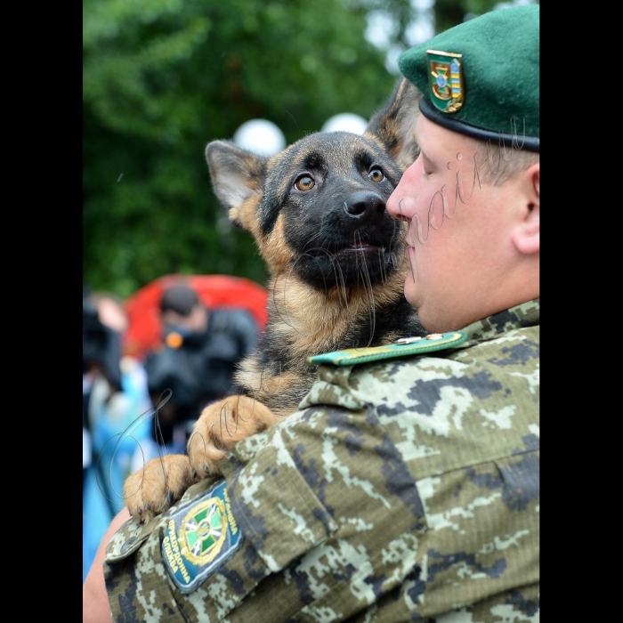 Київ. На базі Окремої комендатури охорони і забезпечення Державної прикордонної служби України відбулась передача службових собак від громадської організації Кінологічна спілка України