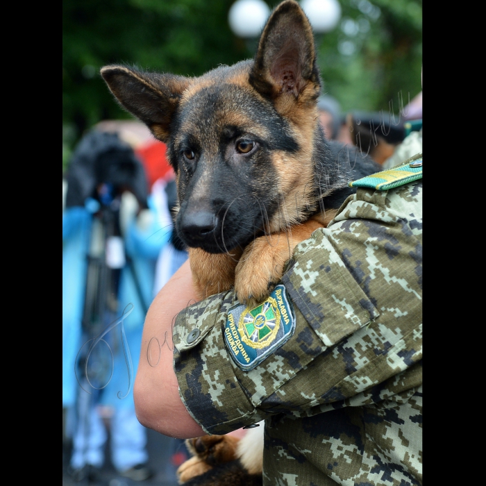 Київ. На базі Окремої комендатури охорони і забезпечення Державної прикордонної служби України відбулась передача службових собак від громадської організації Кінологічна спілка України