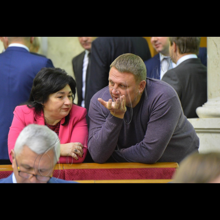 Пленарне засідання Верховної Ради України.
Марія Матіос-БПП, Олександр Шевченко-позафракційний