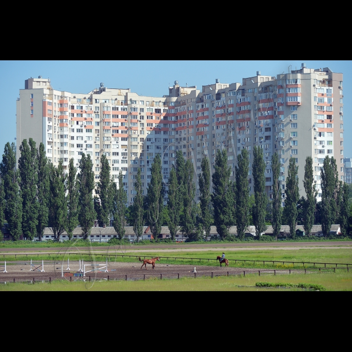 Київ. КП «Київський іподром». Благодійна організація